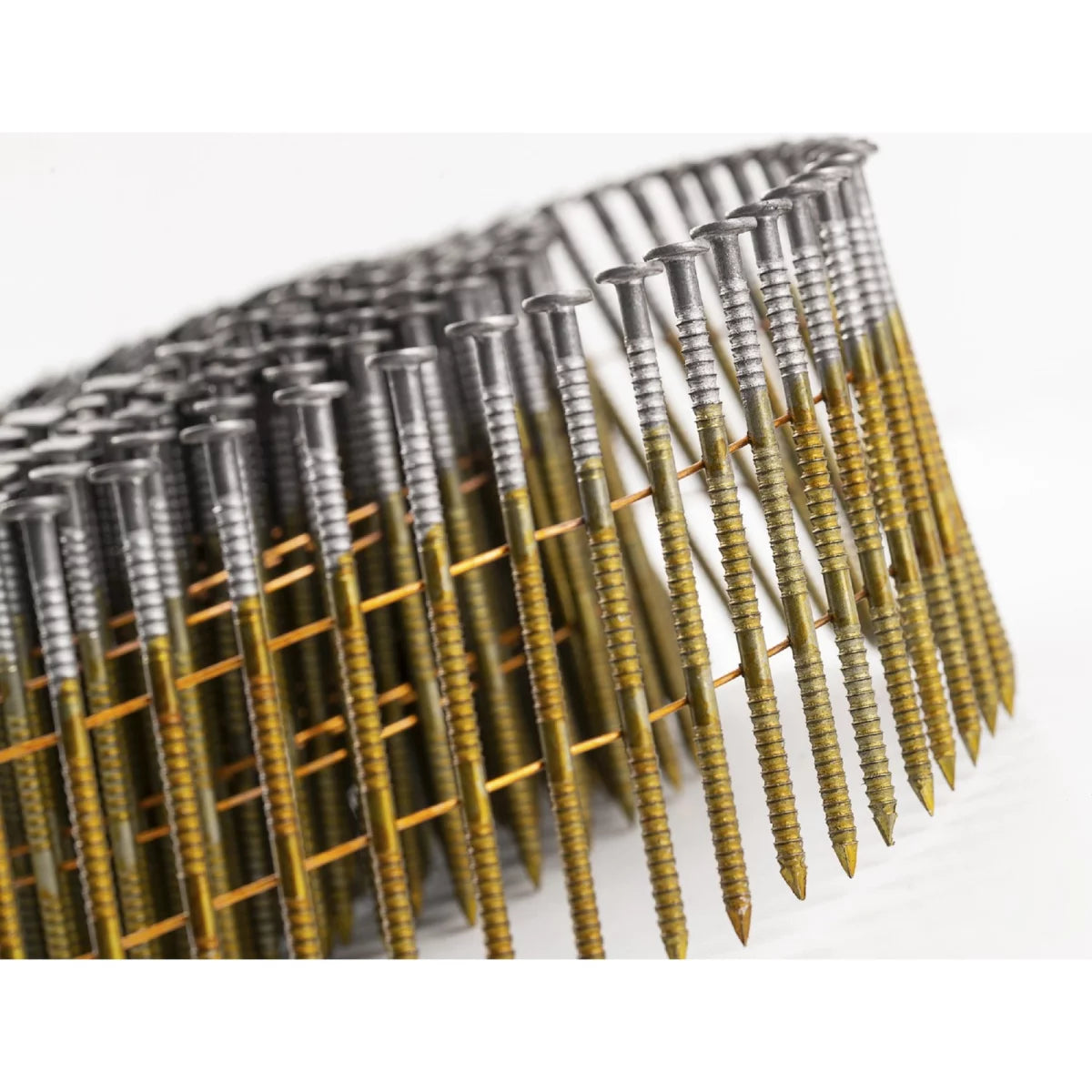 Coilnägel 2,1 x 40 mm Detailansicht Ringschaft