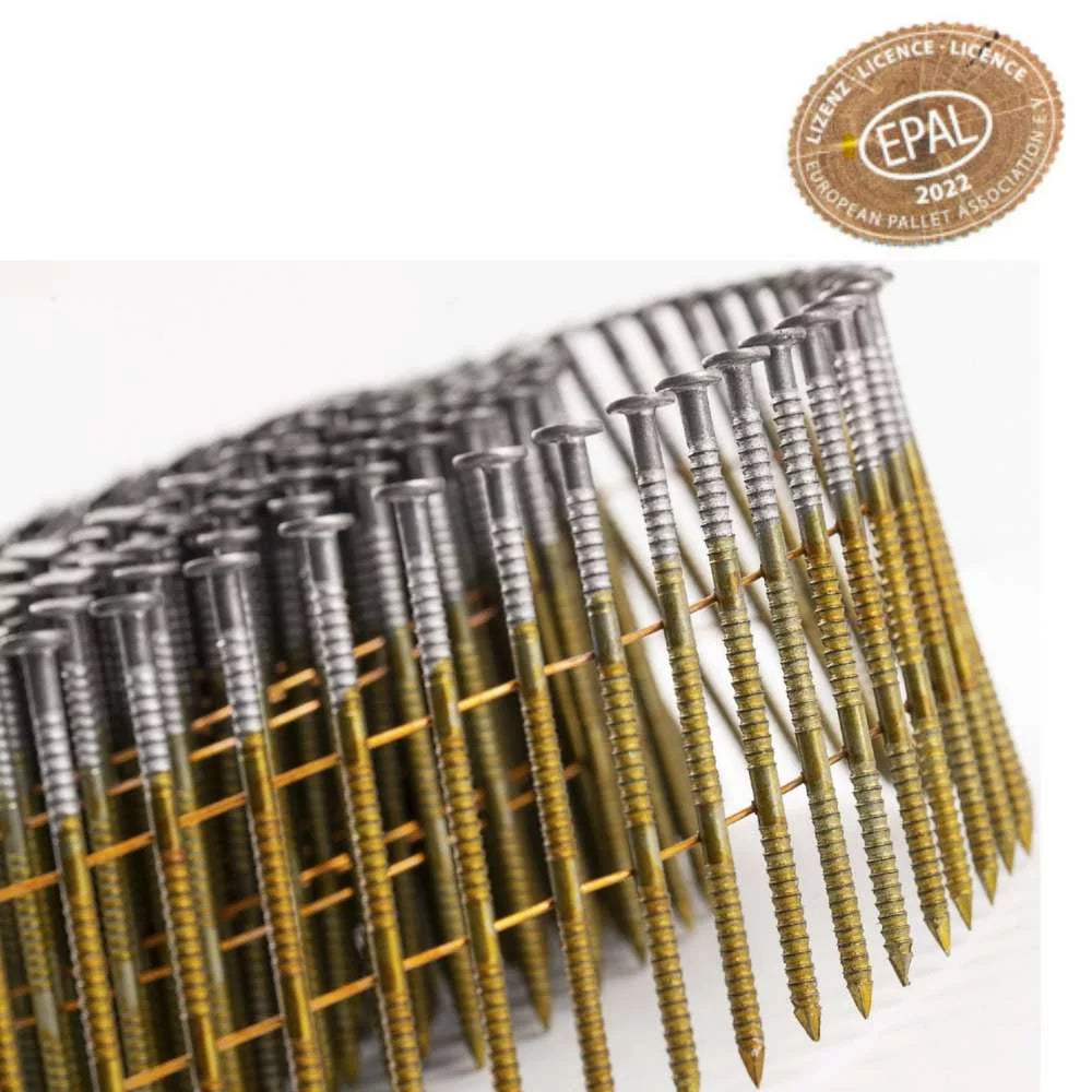 EPAL Coilnägel 2,8 x 40 mm Detailansicht
